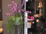 salon-de-belleza