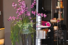 class-peluqueros-salon-de-belleza1